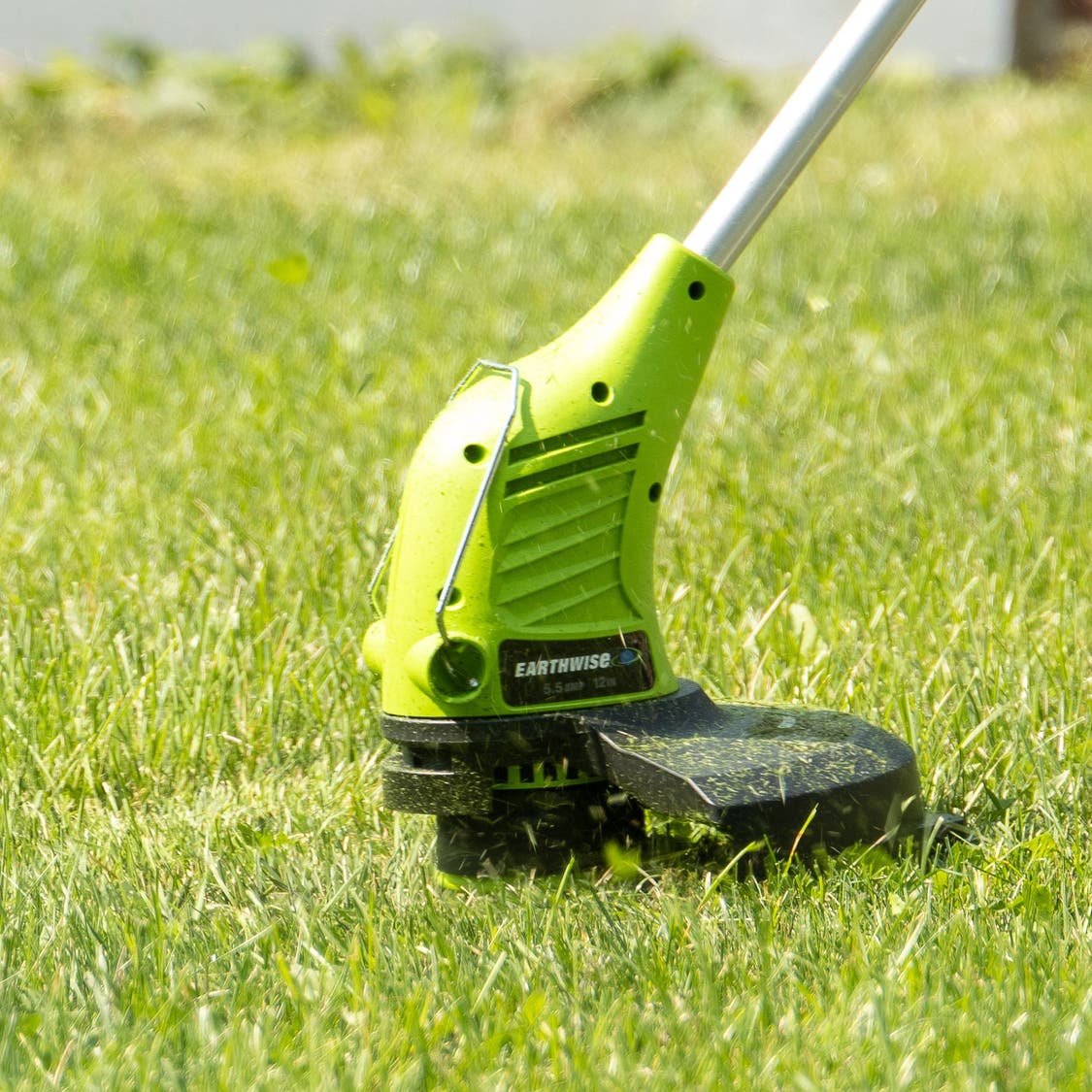 Earthwise 21\, image size:1125x1125