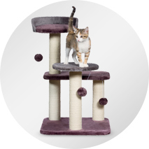 Image: Pet Gear